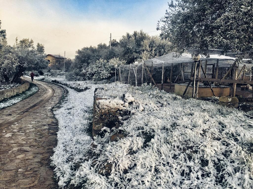 Coscio Di Badia Villa Naro Eksteriør bilde